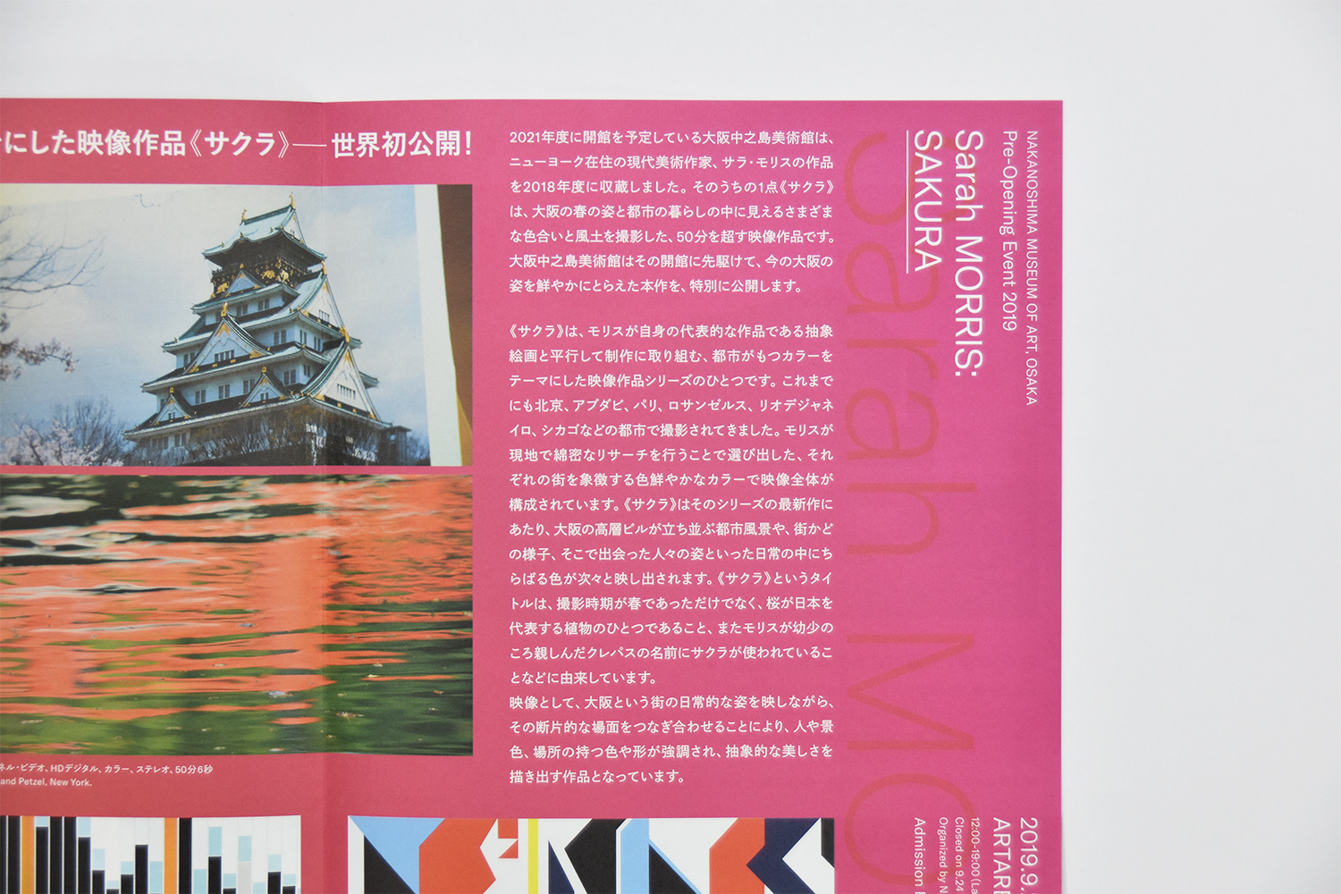 大阪中之島美術館 開館プレイベント 新収蔵品：サラ・モリス《サクラ》
